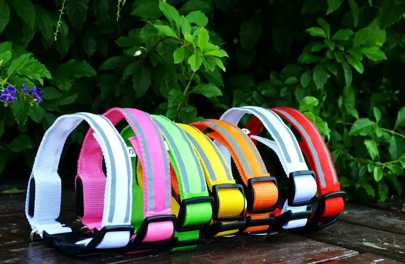 G40_2017_New_Pet_dog_Nylon_LED_Collar_USB_Rechargeable_Dogs_Reflective_Dogs_Cats_Walking_Safety_Light_Glowing_Collars_Necklace_ (14)