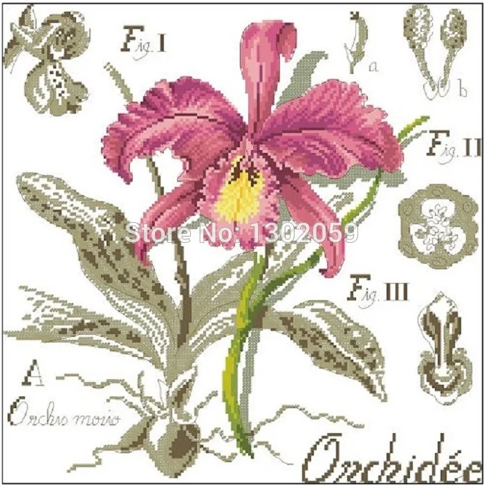 Available Shadow Series Orchid Flower Needlework Embroidery Package Cross Stitch Kit Factory Sale 18CT/16CT/14CT/11CT/9CT
Available Shadow Series Orchid Flower Needlework Embroidery Package Cross Stitch Kit Factory Sale 18CT/16CT/14CT/11CT/9CT