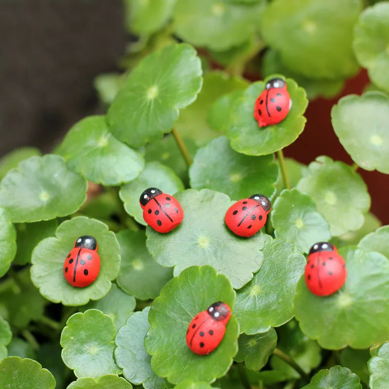 XBJ006 artificial 10 PCS Lady beetle Ornament garden miniatures gnomes moss terrariums crafts figurines for home garden decor
XBJ006 artificial 10 PCS Lady beetle Ornament garden miniatures gnomes moss terrariums crafts figurines for home garden decor