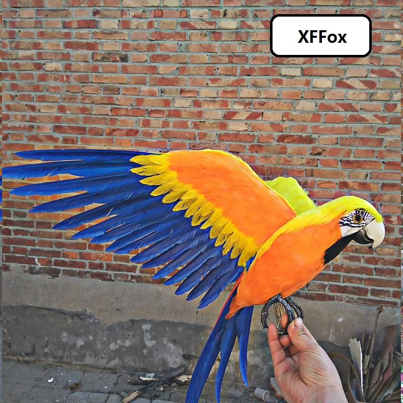 big real life wings yellow&orange parrot model foam&feather simulation parrot bird gift about 45x60cm xf0299
big real life wings yellow&orange parrot model foam&feather simulation parrot bird gift about 45x60cm xf0299