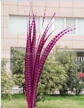 Free shipping 50 pcs rose color pheasant tail feather 90-100 CM 36-40 inch lateral tail markings Wittenbuik chicken feathers
Free shipping 50 pcs rose color pheasant tail feather 90-100 CM 36-40 inch lateral tail markings Wittenbuik chicken feathers