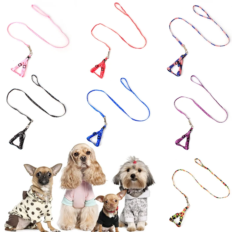 Colorful and Durable Traction Rope Polyester 110cm Pet Dog Collar Harness Leash Soft Walking Harness Lead Dog Accessories
Colorful and Durable Traction Rope Polyester 110cm Pet Dog Collar Harness Leash Soft Walking Harness Lead Dog Accessories