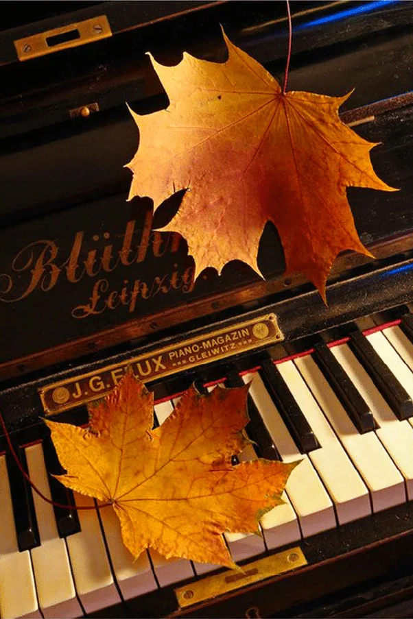 Музыкальное Поздравление С Осенью