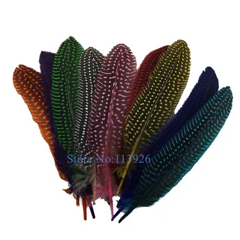 Wholesale 100pcs /color 15-20cm Pheasant Feathers Plume Dyed Chicken Feathers for Wedding party Dresses Decorations headdress
Wholesale 100pcs /color 15-20cm Pheasant Feathers Plume Dyed Chicken Feathers for Wedding party Dresses Decorations headdress