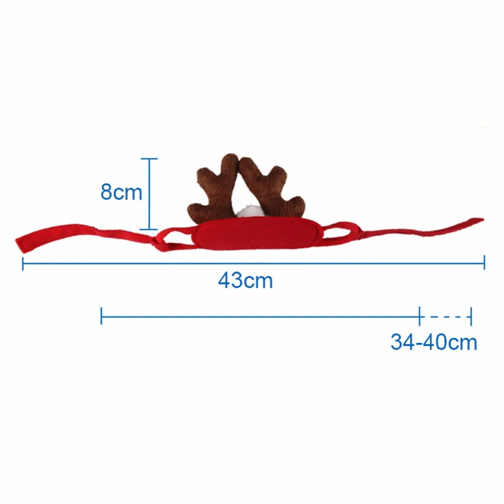 2666103215_1798973395