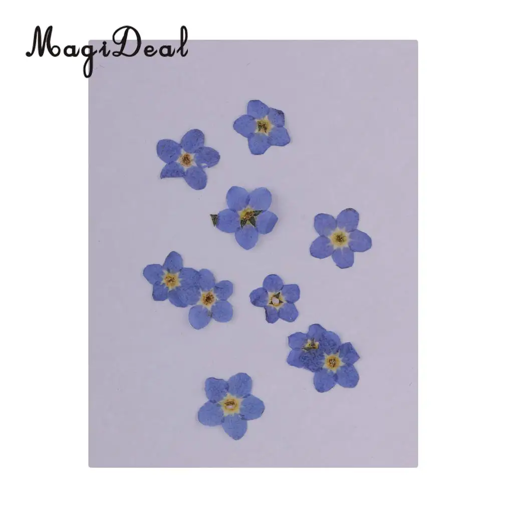 22pcs Mini Natural Dried Flowers Verbena Forget-me-not Embellishment for DIY Pendants Charms Nail Art Decoration