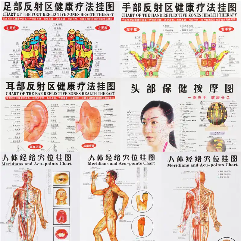 Foot Meridians Chart