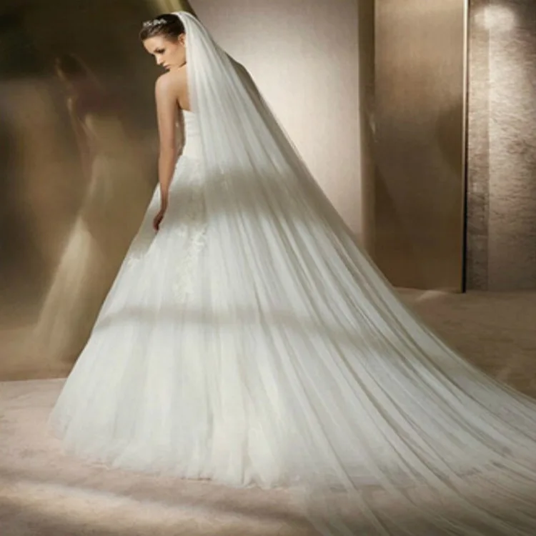 MIARA.L bride wedding veil long tail 3 meters long wedding veil 3 meters long veil simple light yarn
MIARA.L bride wedding veil long tail 3 meters long wedding veil 3 meters long veil simple light yarn