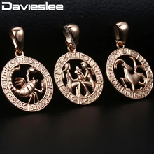 Davieslee 12 Zodiac Sign Constellation Pendant Necklace For Women Men Rose Gold Filled Round Shaped DGPM16
Davieslee 12 Zodiac Sign Constellation Pendant Necklace For Women Men Rose Gold Filled Round Shaped DGPM16