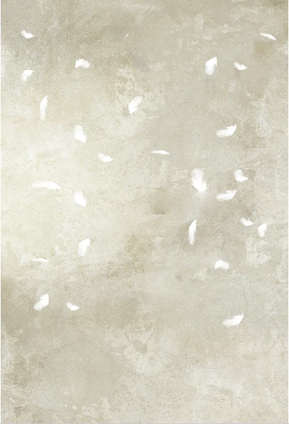 8x8FT White Feather Light Grey Concrete Wall Costume Custom Photography Studio Backdrops Background Vinyl 240cm x 240cm
8x8FT White Feather Light Grey Concrete Wall Costume Custom Photography Studio Backdrops Background Vinyl 240cm x 240cm