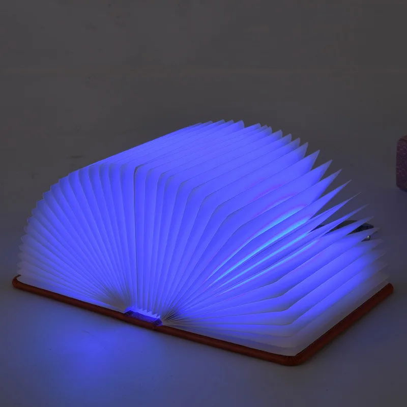 Book Lamp LED Night Light Folding Lamps USB Rechargeable Booklight Table Desk Decor LB88
Book Lamp LED Night Light Folding Lamps USB Rechargeable Booklight Table Desk Decor LB88