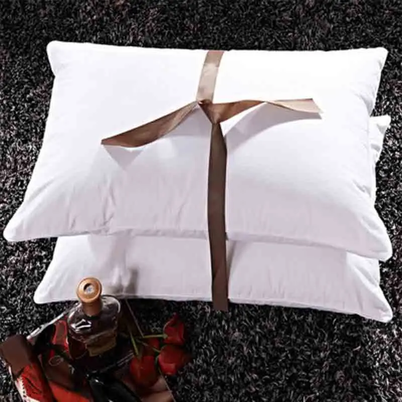 Home Textile 48*74cm Pillow 100% White Goose Down Pillow Neck Health textile bedding
Home Textile 48*74cm Pillow 100% White Goose Down Pillow Neck Health textile bedding