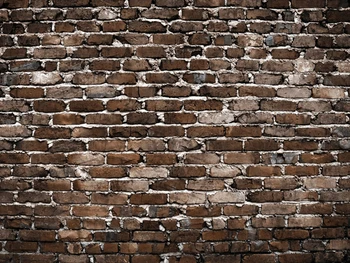 5x7ft Brown Brick wall and Wood Floordrop Custom Photo Prop backdrop backgrounds XT-463
5x7ft Brown Brick wall and Wood Floordrop Custom Photo Prop backdrop backgrounds XT-463