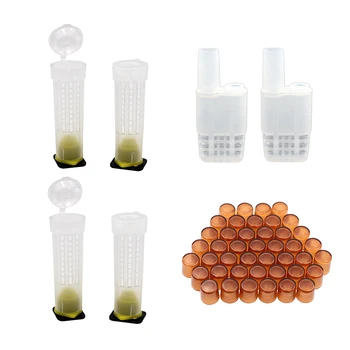 1 Set Beekeeper Tool Queen Rearing Cupkit System Bee Beekeeping Catcher Box Cell Cups Great Beekeeping Tool Kit
1 Set Beekeeper Tool Queen Rearing Cupkit System Bee Beekeeping Catcher Box Cell Cups Great Beekeeping Tool Kit