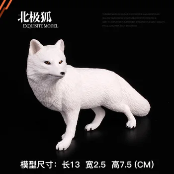 Arctic fox White Fox Figure Wildlife Animal PVC Model Cheap Toys for Kids Children Gifts
Arctic fox White Fox Figure Wildlife Animal PVC Model Cheap Toys for Kids Children Gifts