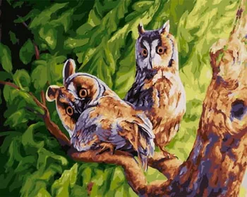 Frameless painting by numbers coloring by numbers for home decor wall decor canvas painting 4050cm owl couple
Frameless painting by numbers coloring by numbers for home decor wall decor canvas painting 4050cm owl couple