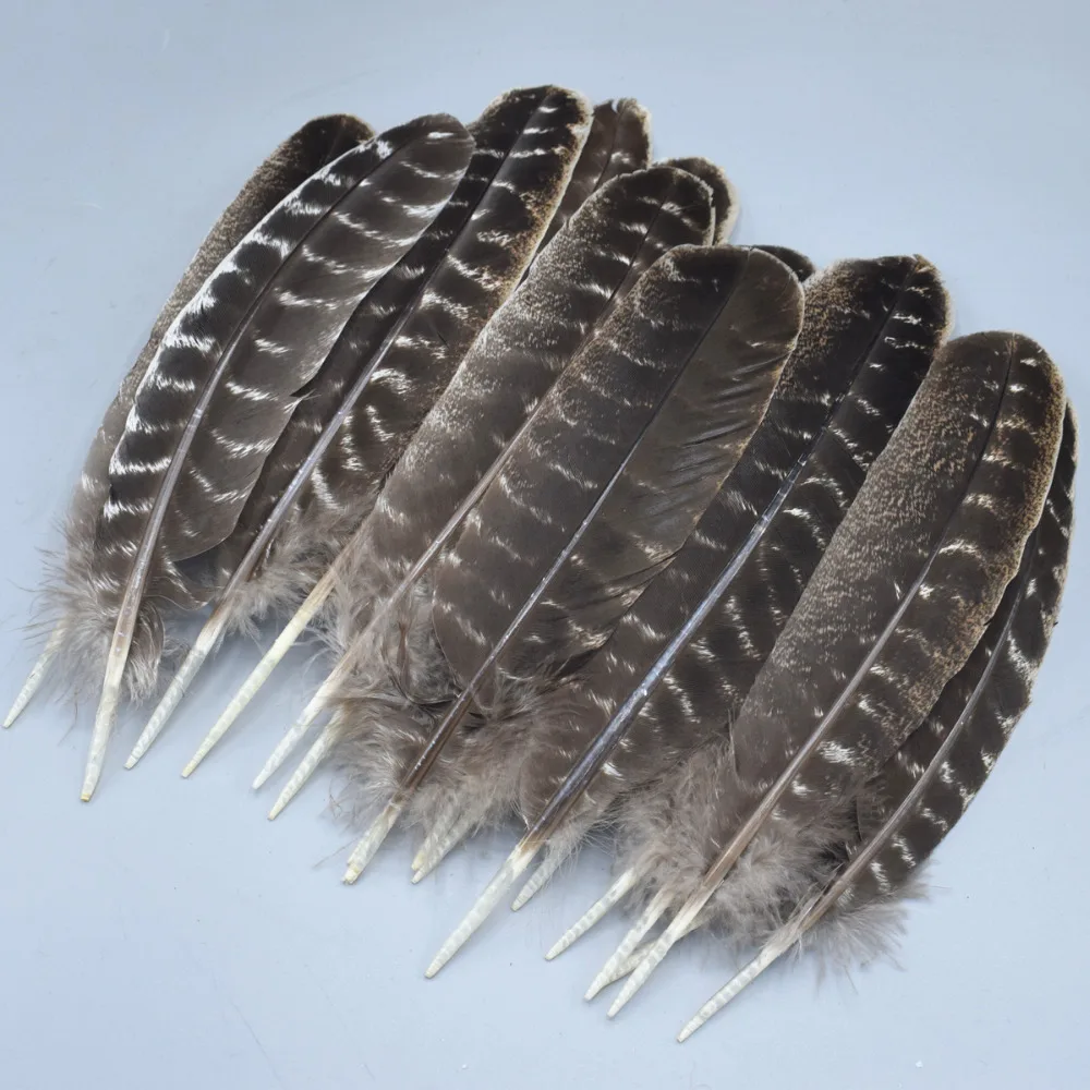 Перо Орла Фото – Telegraph