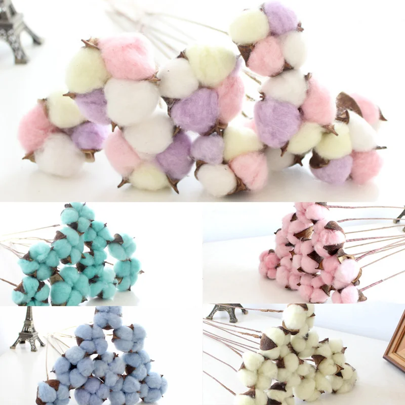 Single Branch Crafts Ornament Natural Cotton 60cm Length Artificial Dried Flowers 5 Pcs Hardcore Cotton Head Everlasting Flower
Single Branch Crafts Ornament Natural Cotton 60cm Length Artificial Dried Flowers 5 Pcs Hardcore Cotton Head Everlasting Flower