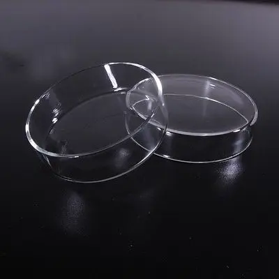 75mm Borosilicate glass Petri culture dish For Chemistry Laboratory Bacterial Yeast
75mm Borosilicate glass Petri culture dish For Chemistry Laboratory Bacterial Yeast