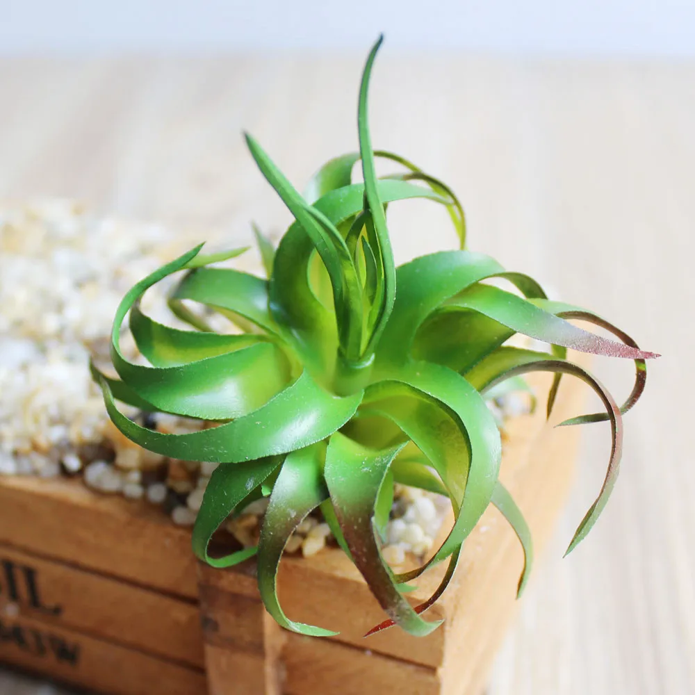 4 Kinds Artificial Succulents Plants Lifelike Mini Grass Desert Artificial Plant Landscape Fake Flower Wedding Decorations
4 Kinds Artificial Succulents Plants Lifelike Mini Grass Desert Artificial Plant Landscape Fake Flower Wedding Decorations