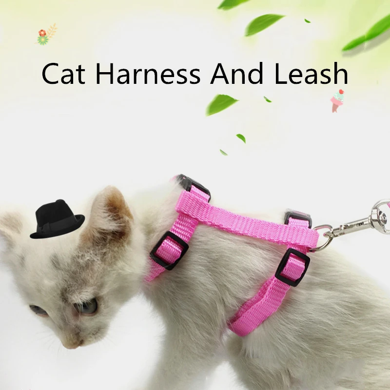 Cat Harness And Leash Hot Sale 3 Colors Nylon Products For Animals Adjustable Pet Traction Harness Belt Cat Kitten Halter Coll23
Cat Harness And Leash Hot Sale 3 Colors Nylon Products For Animals Adjustable Pet Traction Harness Belt Cat Kitten Halter Coll23