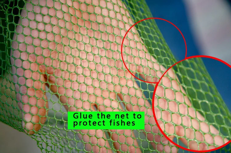 6 Sizes Fish Trap Foldable Fish Cage Fishing Net Small Large Mesh Nets Collapsible Keeping Network Durable RL49-0020-05