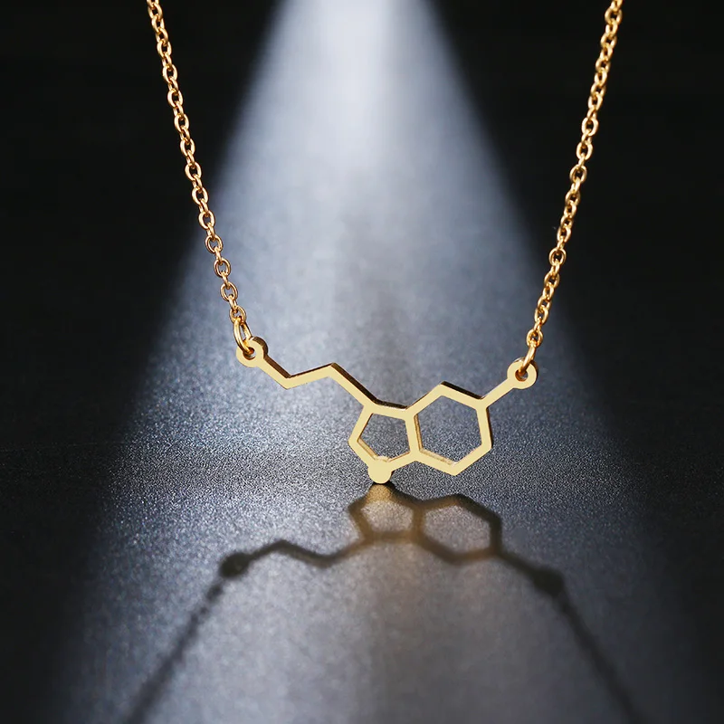 DOTIFI Stainless Steel Necklace For Women erotonin Molecule Chemistry Geometric Polygon Pendant Necklace Engagement Jewelry
DOTIFI Stainless Steel Necklace For Women erotonin Molecule Chemistry Geometric Polygon Pendant Necklace Engagement Jewelry