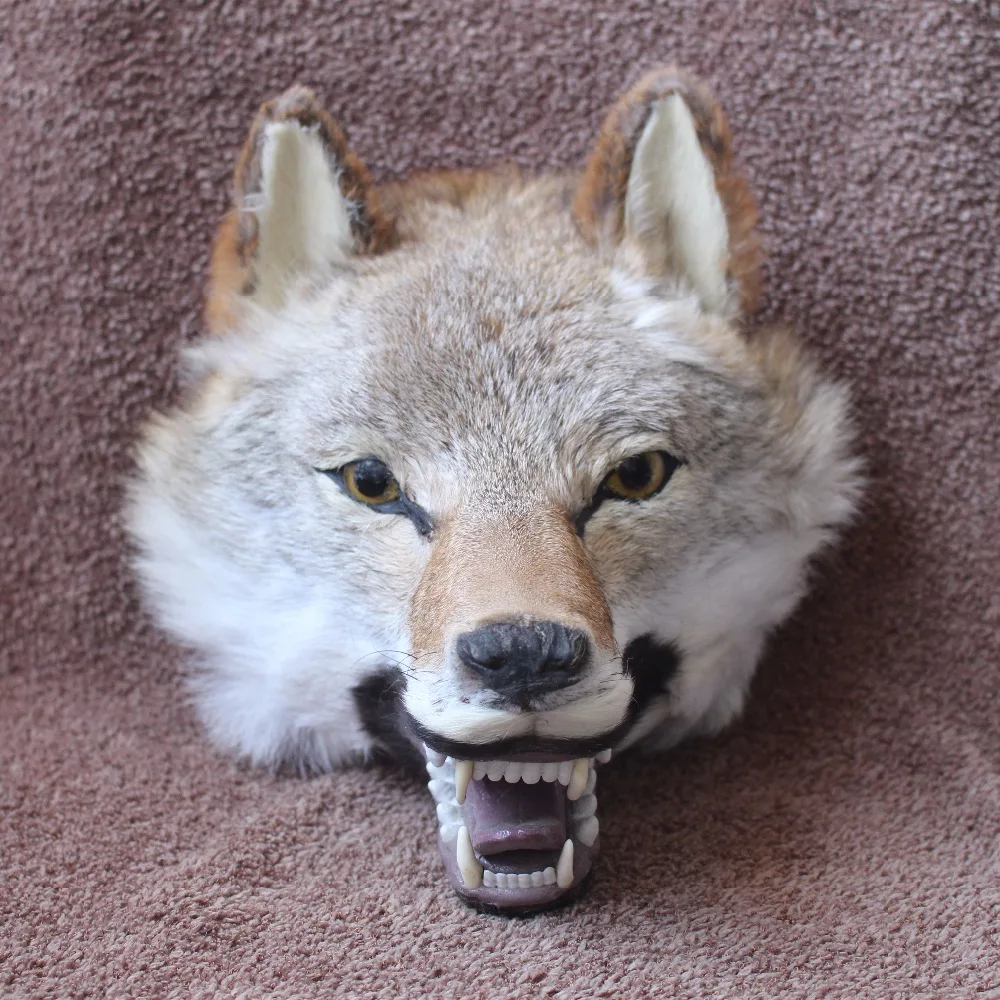 Simulation Artificial Wolf Head Home Wall Decor Wolf Head Animal Decor Wolf Head
Simulation Artificial Wolf Head Home Wall Decor Wolf Head Animal Decor Wolf Head