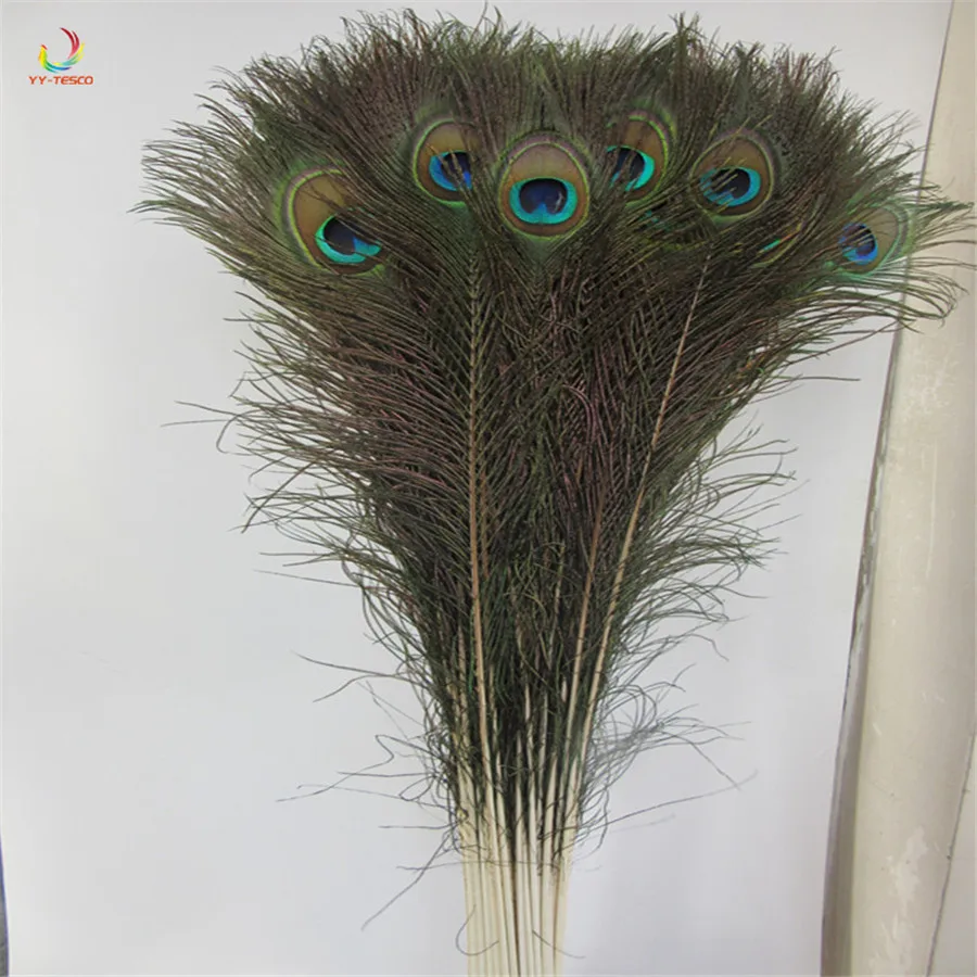 100 Pcs/Lot High-Quality Natural Peacock Feathers DIY decorative 72-80CM/29-32 Inch feathers Decoration Peacock Feather
100 Pcs/Lot High-Quality Natural Peacock Feathers DIY decorative 72-80CM/29-32 Inch feathers Decoration Peacock Feather