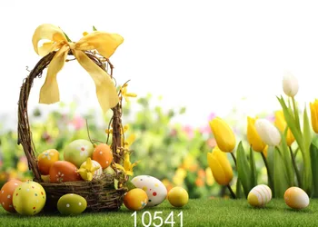 5x7ft Thin vinyl Children's World Super Photo Backdrops Customized easter' s day Studio Background Studio Props
5x7ft Thin vinyl Children's World Super Photo Backdrops Customized easter' s day Studio Background Studio Props