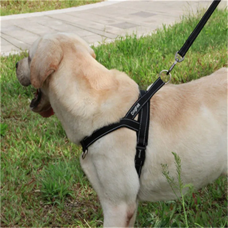big dog collars harnesses Summer Comfortable quick release Breathable Pet Dog Outdoor Sports Color Chest Straps Leash 2018
big dog collars harnesses Summer Comfortable quick release Breathable Pet Dog Outdoor Sports Color Chest Straps Leash 2018