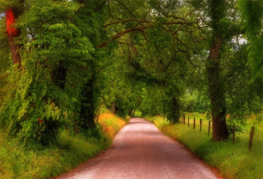 Laeacco Spring Green Tree Grass Passage Child Photography Backgrounds Customized Photographic Backdrops For Photo Studio
Laeacco Spring Green Tree Grass Passage Child Photography Backgrounds Customized Photographic Backdrops For Photo Studio