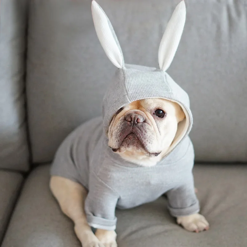 Bunny Pet Dog Clothes Knitted Cat Pet Clothes For Dogs Hoodie Clothing For Small Medium Dog Sweatershirt Pet Coat French Bulldog
Bunny Pet Dog Clothes Knitted Cat Pet Clothes For Dogs Hoodie Clothing For Small Medium Dog Sweatershirt Pet Coat French Bulldog