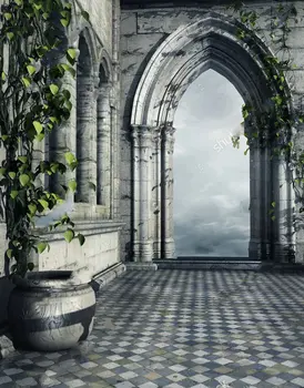 Hallway Fantasy Castle Flower Pot Ivy column leaves backdrop Vinyl cloth High quality Computer print wall background
Hallway Fantasy Castle Flower Pot Ivy column leaves backdrop Vinyl cloth High quality Computer print wall background