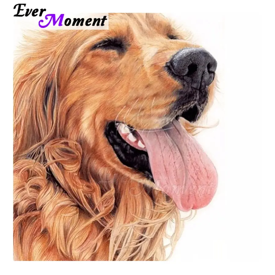 Ever Moment Diamond Painting Picture Of Rhinestone 5D DIY Full Square Drill Dog Decoration For Home Diamond Embroidery ASF1329
Ever Moment Diamond Painting Picture Of Rhinestone 5D DIY Full Square Drill Dog Decoration For Home Diamond Embroidery ASF1329
