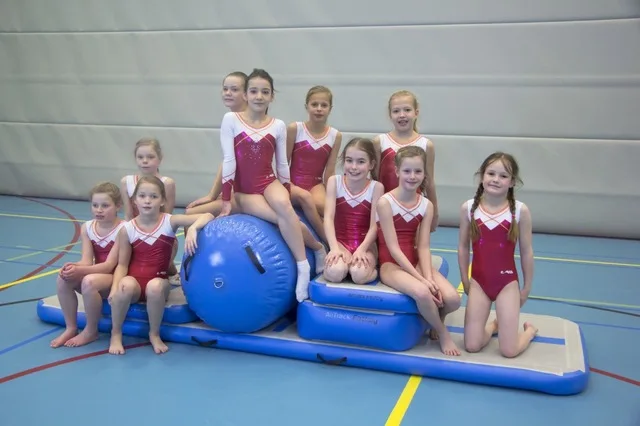 Air Tumbling Track Roller Home Training Inflatable Mat 5Sets for Gymnastics fast shiping 
Air Tumbling Track Roller Home Training Inflatable Mat 5Sets for Gymnastics fast shiping