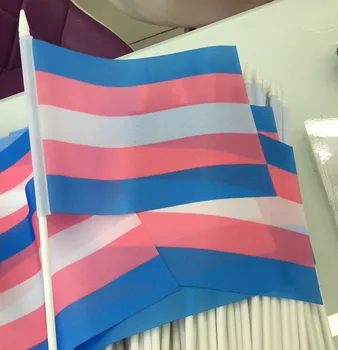 50pcs/LOT Rainbow Flags And Banners 14X21cm Lesbian Gay Pride LGBT Flag Polyester Colorful new transgender Flag Hand Wave Flag
50pcs/LOT Rainbow Flags And Banners 14X21cm Lesbian Gay Pride LGBT Flag Polyester Colorful new transgender Flag Hand Wave Flag