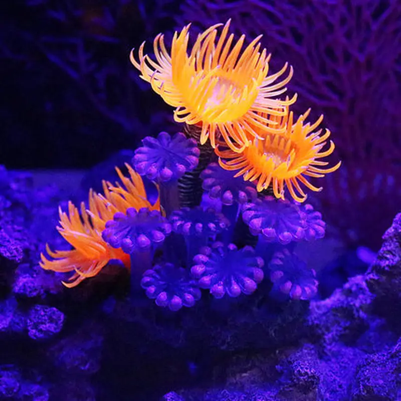 Aquarium Underwater Landscape Ornament artificial coral decor sea urchin Water Grass Live Plant Fish Tank decoration supplies
Aquarium Underwater Landscape Ornament artificial coral decor sea urchin Water Grass Live Plant Fish Tank decoration supplies