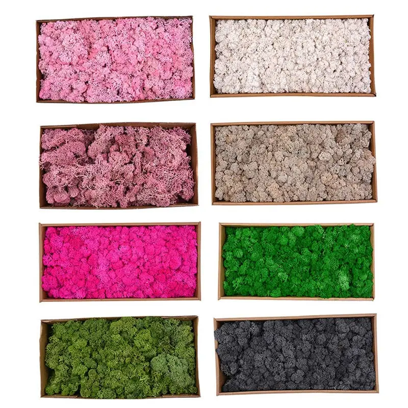 500g/Box Beautiful Moss Plant Flowers Long Lasting Preserved Dried Craft Flower DIY Home Wedding Party Decor 2018 Hogard MA3018
500g/Box Beautiful Moss Plant Flowers Long Lasting Preserved Dried Craft Flower DIY Home Wedding Party Decor 2018 Hogard MA3018