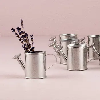 wedding candy packing mini metal Watering can favors in silver color Free shipping 12 pcs/lot
wedding candy packing mini metal Watering can favors in silver color Free shipping 12 pcs/lot
