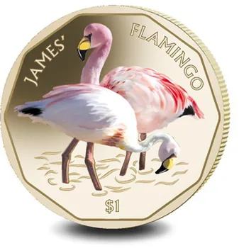 James Flamingo British Virgin Islands 2019 1 yuan color coin UNC original Coin Not circulated
James Flamingo British Virgin Islands 2019 1 yuan color coin UNC original Coin Not circulated