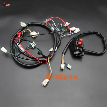 Engine AC Wiring Harness 150cc 200cc 250cc PIT Quad Dirt Bike ATV Buggy & Switch Loncin zongshen ducar Lifan new E-Moto
Engine AC Wiring Harness 150cc 200cc 250cc PIT Quad Dirt Bike ATV Buggy & Switch Loncin zongshen ducar Lifan new E-Moto