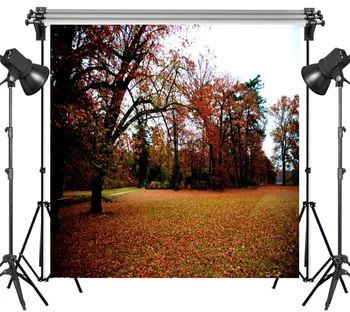 LB Polyester & Vinyl Photography Backdrop For Studio Photo Props Photographic Background Red Fallen Leaves Forest Park Decor 
LB Polyester & Vinyl Photography Backdrop For Studio Photo Props Photographic Background Red Fallen Leaves Forest Park Decor