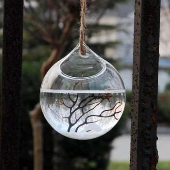 Pack 6 Pieces Hanging Glass Flower Vase Landscape Garden Terrarium Container Bottle
Pack 6 Pieces Hanging Glass Flower Vase Landscape Garden Terrarium Container Bottle
