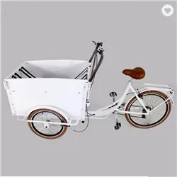 used family cargo bike
