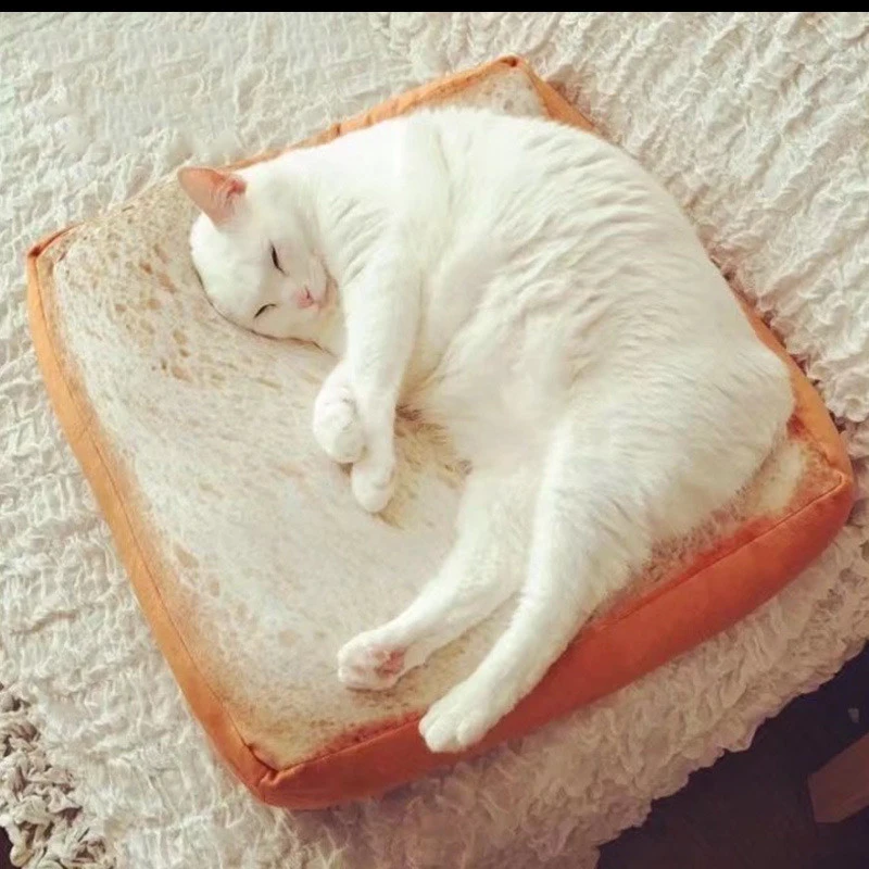 40x40cm Cartoon Sleeping Cotton Simulation Bread Slices Cat Plush Toy Toast Cushion Soft Pillow Cat Sleep Mat Pet Supplies
40x40cm Cartoon Sleeping Cotton Simulation Bread Slices Cat Plush Toy Toast Cushion Soft Pillow Cat Sleep Mat Pet Supplies