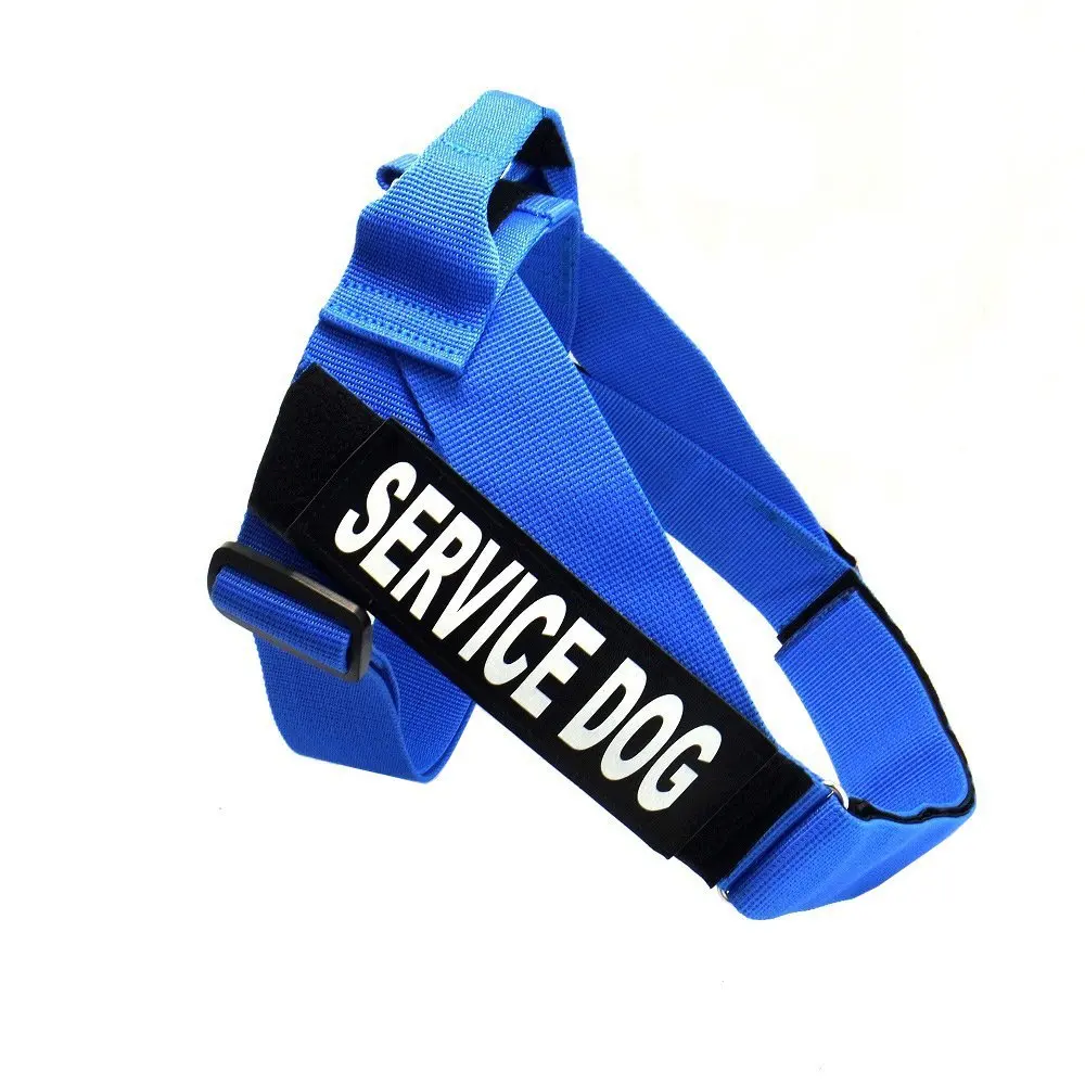 Pet Dog Harness Jump Resistant Breast Strap Service Dog Explosion-proof Outdoor Strengthen Durable Safety Harnesses PH005
Pet Dog Harness Jump Resistant Breast Strap Service Dog Explosion-proof Outdoor Strengthen Durable Safety Harnesses PH005