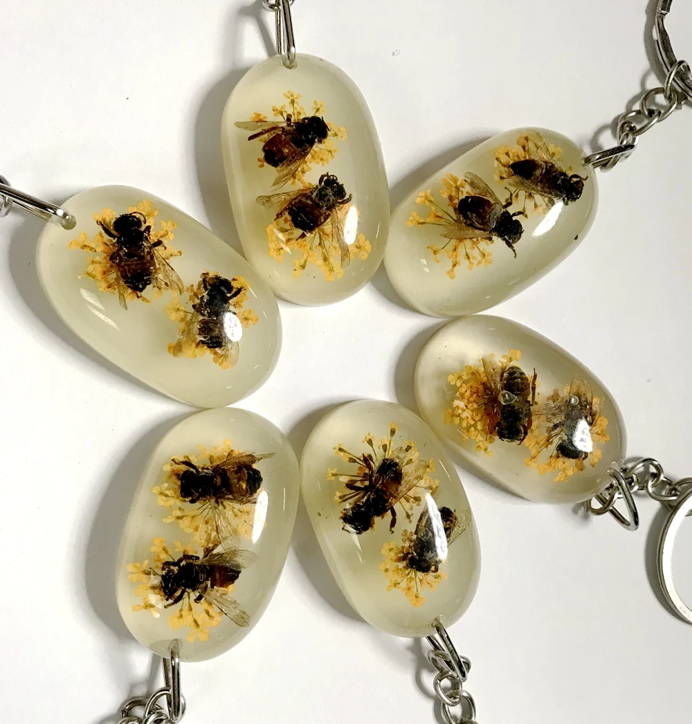 FREE SHIPPING yqtdmy 12 pcs Specimens Embedded Bee Bug Resin Keychains Drop Shape Keyring
FREE SHIPPING yqtdmy 12 pcs Specimens Embedded Bee Bug Resin Keychains Drop Shape Keyring