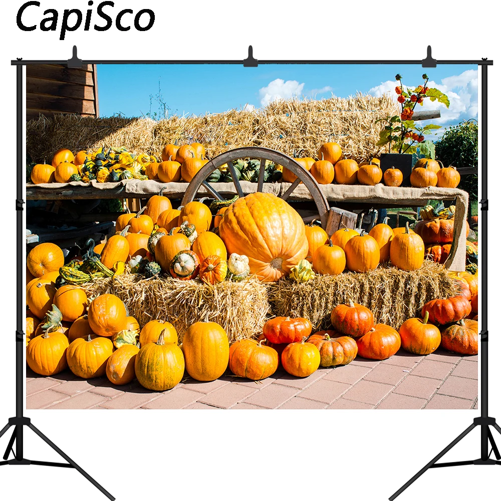 

Capisco Autumn Haystacks Wooden Wheel Pumpkin Harvest Seasons Baby Portrait Photo Background Photographic Backdrops Photo Studio