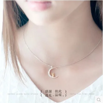 High quality 925 sterling silver Female jewelry moon rabbit women cartoon shape necklace cute pendant girls lovers best gift
High quality 925 sterling silver Female jewelry moon rabbit women cartoon shape necklace cute pendant girls lovers best gift